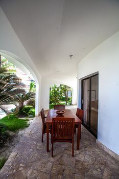 Terrace or Patio